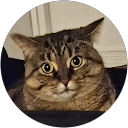 Nashaun profile picture